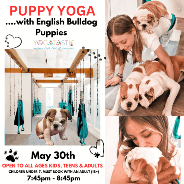 English Bulldog Puppy Yoga - Open Ages Session 2 - May 30th 7:45-8:45