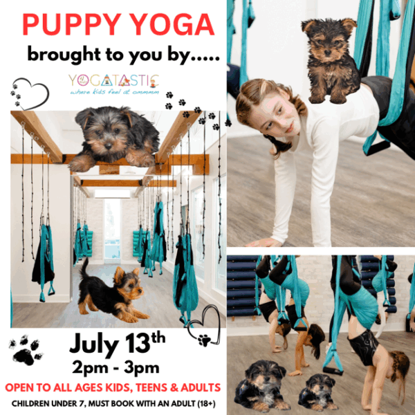 Puppy Yoga - Open Ages - July 13th 2:00pm-3:00pm