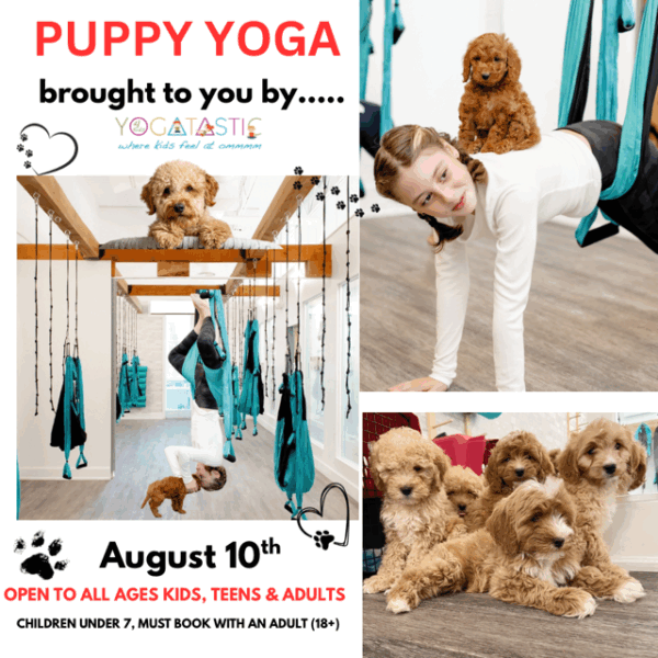Puppy Yoga - Open Ages - Aug. 10th 3:30pm-4:30pm (session 2)