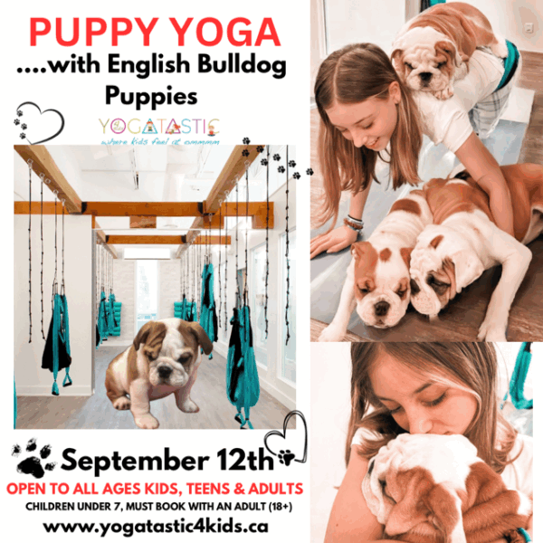 English Bulldog Puppy Yoga - Open Ages - Sept. 12th 6:20pm-7:20pm (session 1)